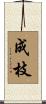 成枝 Scroll