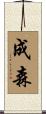 成森 Scroll