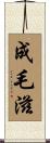 成毛滋 Scroll