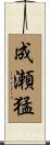 成瀬猛 Scroll