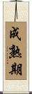 成熟期 Scroll