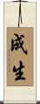 成生 Scroll