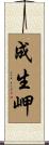 成生岬 Scroll