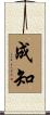 成知 Scroll