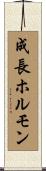 成長ホルモン Scroll
