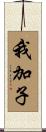我加子 Scroll