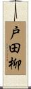 戸田柳 Scroll