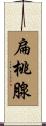 扁桃腺 Scroll