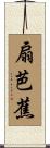 扇芭蕉 Scroll