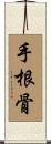 手根骨 Scroll