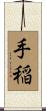 手稲 Scroll