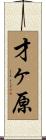 才ヶ原 Scroll