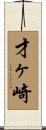 才ヶ崎 Scroll