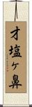 才塩ヶ鼻 Scroll