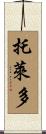 Toledo Scroll