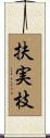 扶実枝 Scroll