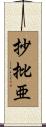 抄批亜 Scroll
