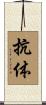 抗体 Scroll