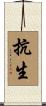 抗生 Scroll