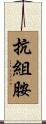 抗組胺 Scroll