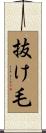 抜け毛 Scroll
