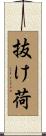 抜け荷 Scroll