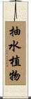 抽水植物 Scroll