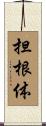 担根体 Scroll