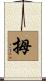 拇 Scroll
