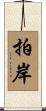拍岸 Scroll