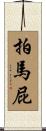 拍馬屁 Scroll