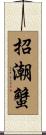 招潮蟹 Scroll