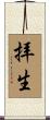 拝生 Scroll