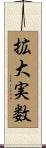 拡大実数 Scroll
