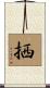 拪 Scroll