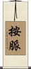 按脈 Scroll
