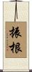振根 Scroll