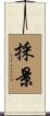 採景 Scroll