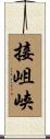 接岨峡 Scroll