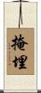 掩埋 Scroll