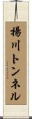 揚川トンネル Scroll