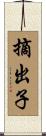 摘出子 Scroll