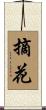 摘花 Scroll