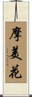 摩美花 Scroll