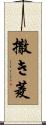 撒き菱 Scroll