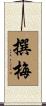 撰梅 Scroll