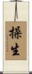 操生 Scroll