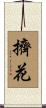 擠花 Scroll