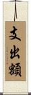 支出額 Scroll
