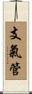 支氣管 Scroll